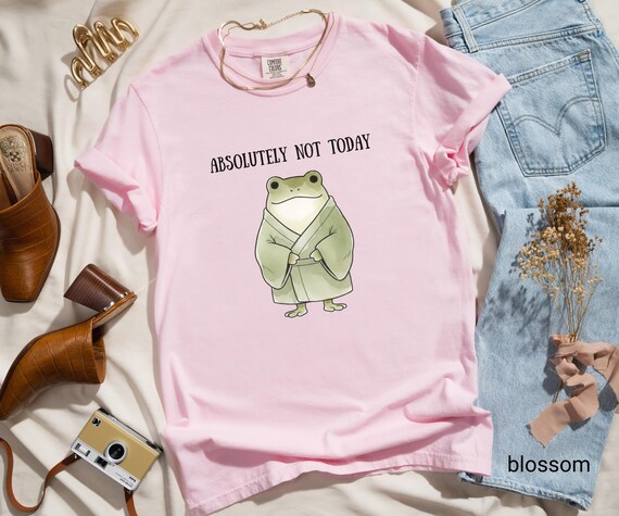 Absolutely Not Today T-shirt, Funny Frog Tee, Aesthetic Gift