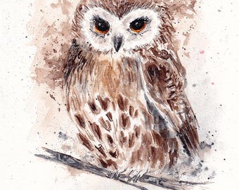 水彩フクロウ、オリジナルのフクロウの絵画、フクロウの装飾、フクロウ