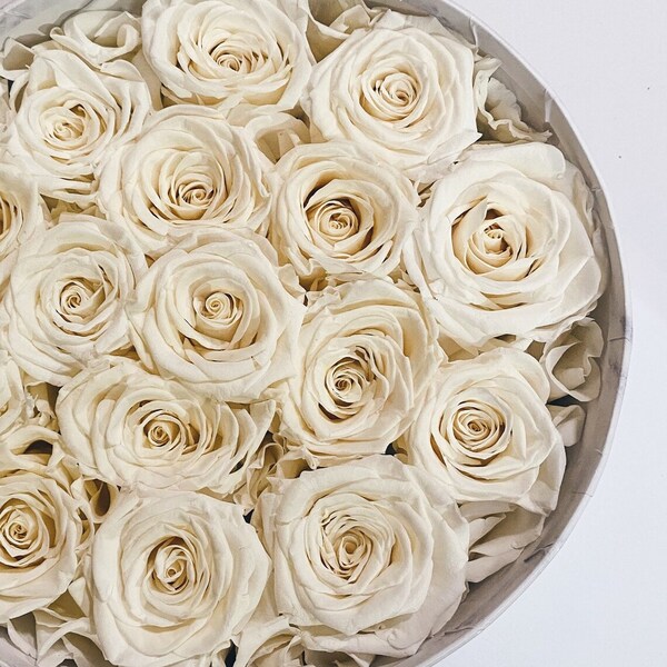 Preserved Flowers Etsy UK