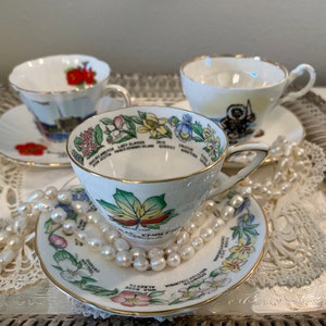 Hawaii, Alaska and Canada Teacups made in England