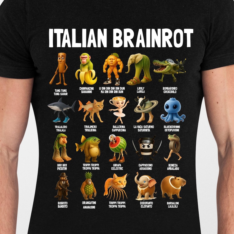Italian Brainrot Png - Etsy