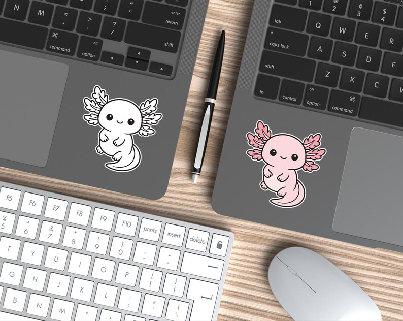 K&ouml;nnte beinhalten: Zwei Laptops mit Axolotl-Aufklebern. Einer ist wei&szlig;, der andere rosa. Ein schwarzer Stift liegt zwischen den Laptops. Eine wei&szlig;e Tastatur und Maus befinden sich im Vordergrund. Die Aufkleber sind im Cartoon-Stil.