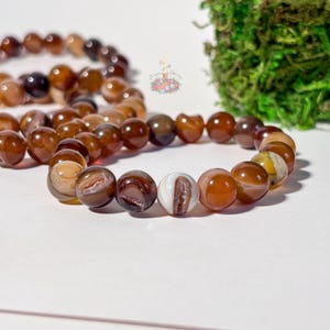 Puede incluir: Primer plano de dos pulseras de cuentas. Las pulseras están hechas de cuentas redondas y pulidas en tonos marrón, beige y blanco. Las cuentas tienen un aspecto veteado. Las pulseras están sobre una superficie blanca, con musgo verde en el fondo.