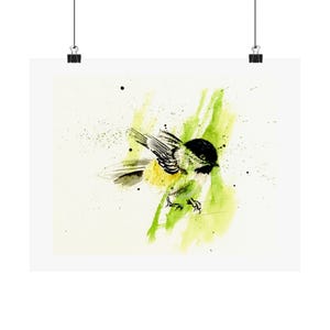 Puede incluir: Una pintura de acuarela de un carbonero común posado en una rama verde. El pájaro está mirando hacia la derecha y tiene el pecho amarillo. El fondo es una lavada de acuarela verde claro.