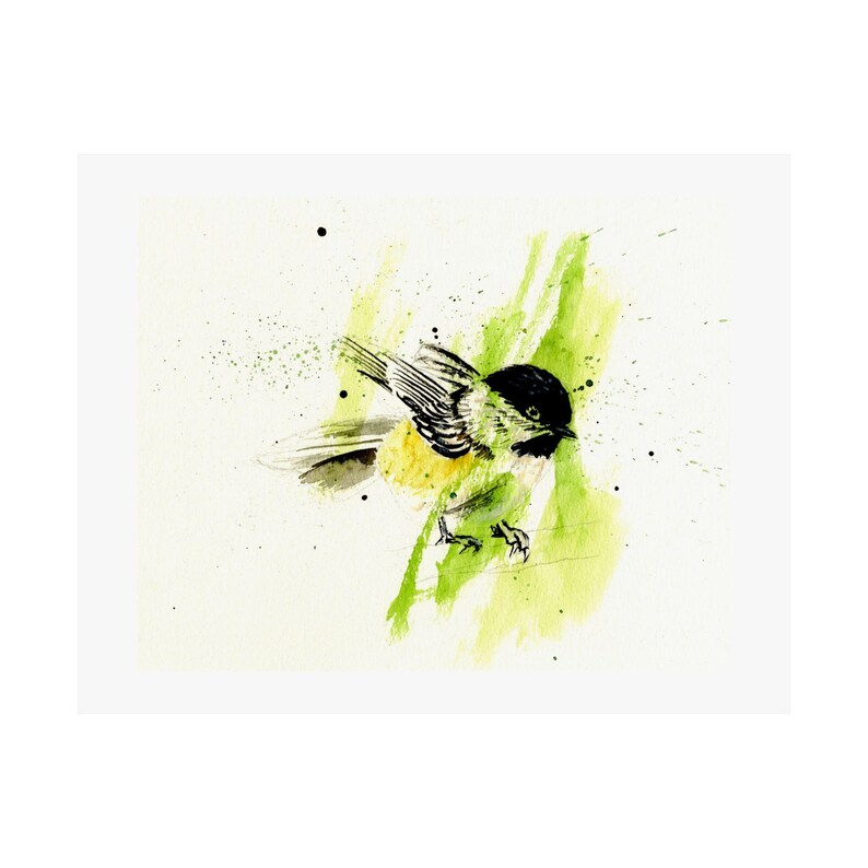 Chicadee image 2