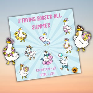 May include: A light blue poster featuring cartoon geese enjoying summer activities. The text reads "Staying Goosed All Summer". The geese are depicted with sunglasses, hats, and beach accessories. The total cost is £24.
