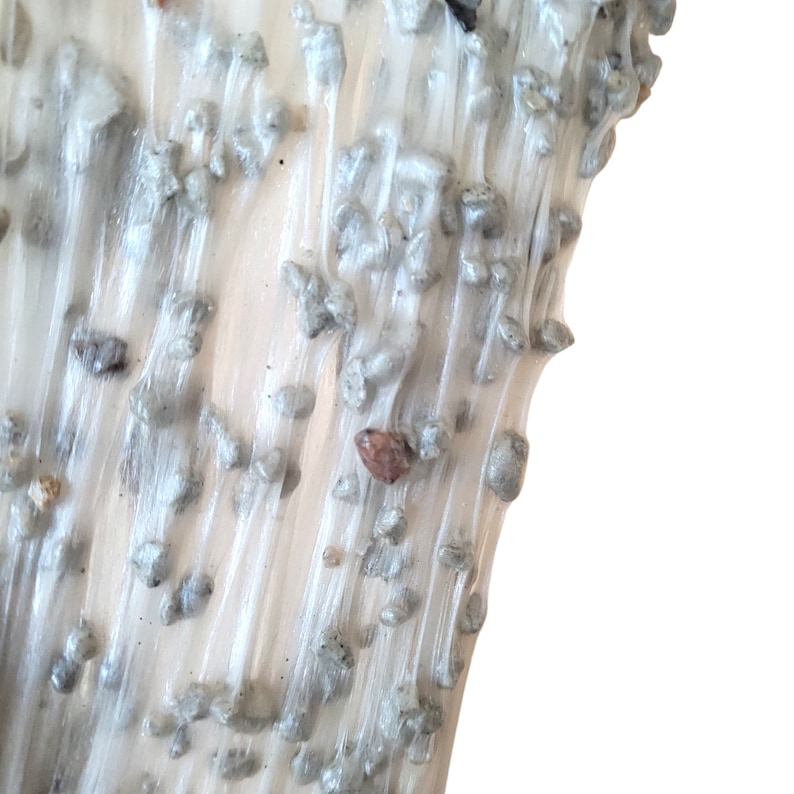 May include: Close-up of a white, translucent substance with small, gray, pebble-like inclusions. The substance has a flowing, stringy texture.