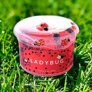 May include: A clear plastic container filled with red slime and ladybug charms. The container has a black and white label that says "Ladybug Fuzzy Slimes".