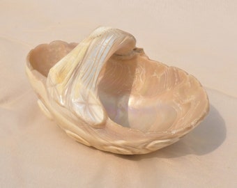 Carved Sea Shell Dish with Handle Vintage