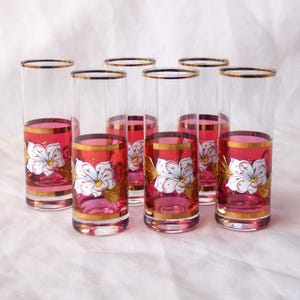 Czech Cranberry Glass Shot Glasses Set of Six Vintage Art Deco Hand Painted Glassware Cordial Bohemian Bar Barware Cocktail Liquor R.1N