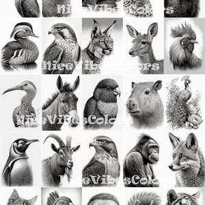 10 Unique Animal Grayscale Coloring Pages for Adults: Unwind and Unleash Your Creativity