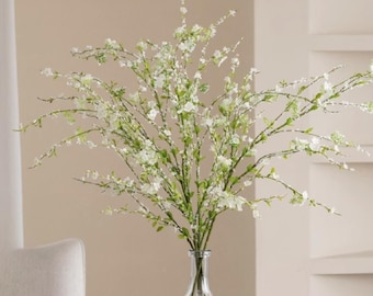 Reeves Spirea - Bridal Wreath Spirea - Summer White Flowers