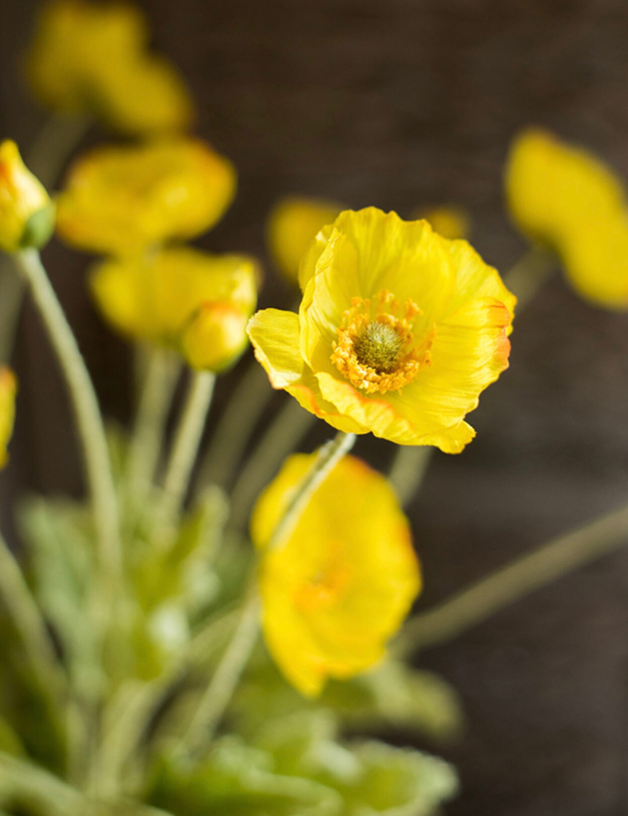 23'' Faux Poppy Silk Artificial Colorful Flowers Etsy