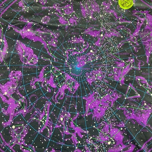 May include: Black t-shirt with a glow-in-the-dark print of a constellation map. The constellations are outlined in purple and the stars are white. The text "Glow in the Dark" is printed on a yellow tag.