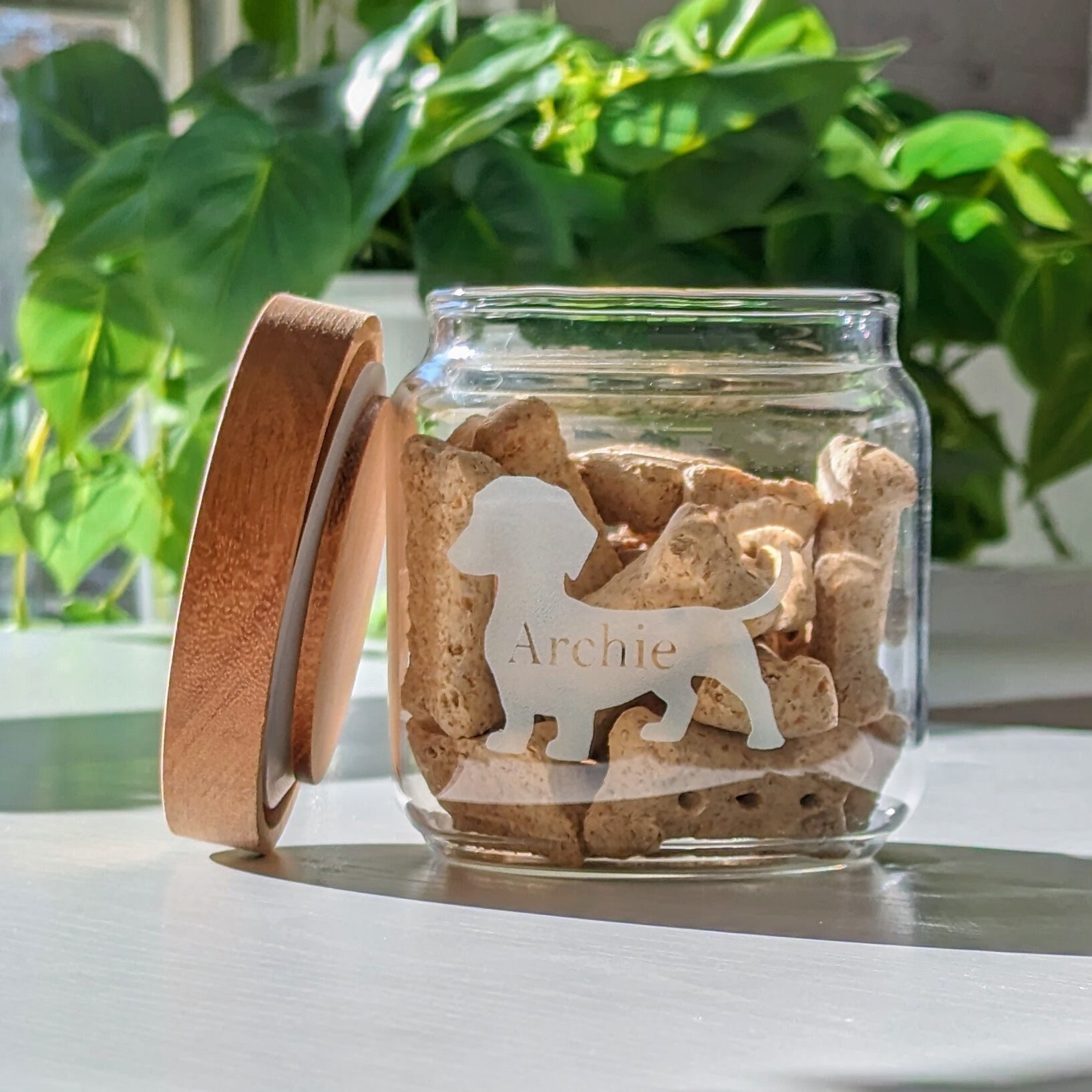 Dog treat jar argos 2025