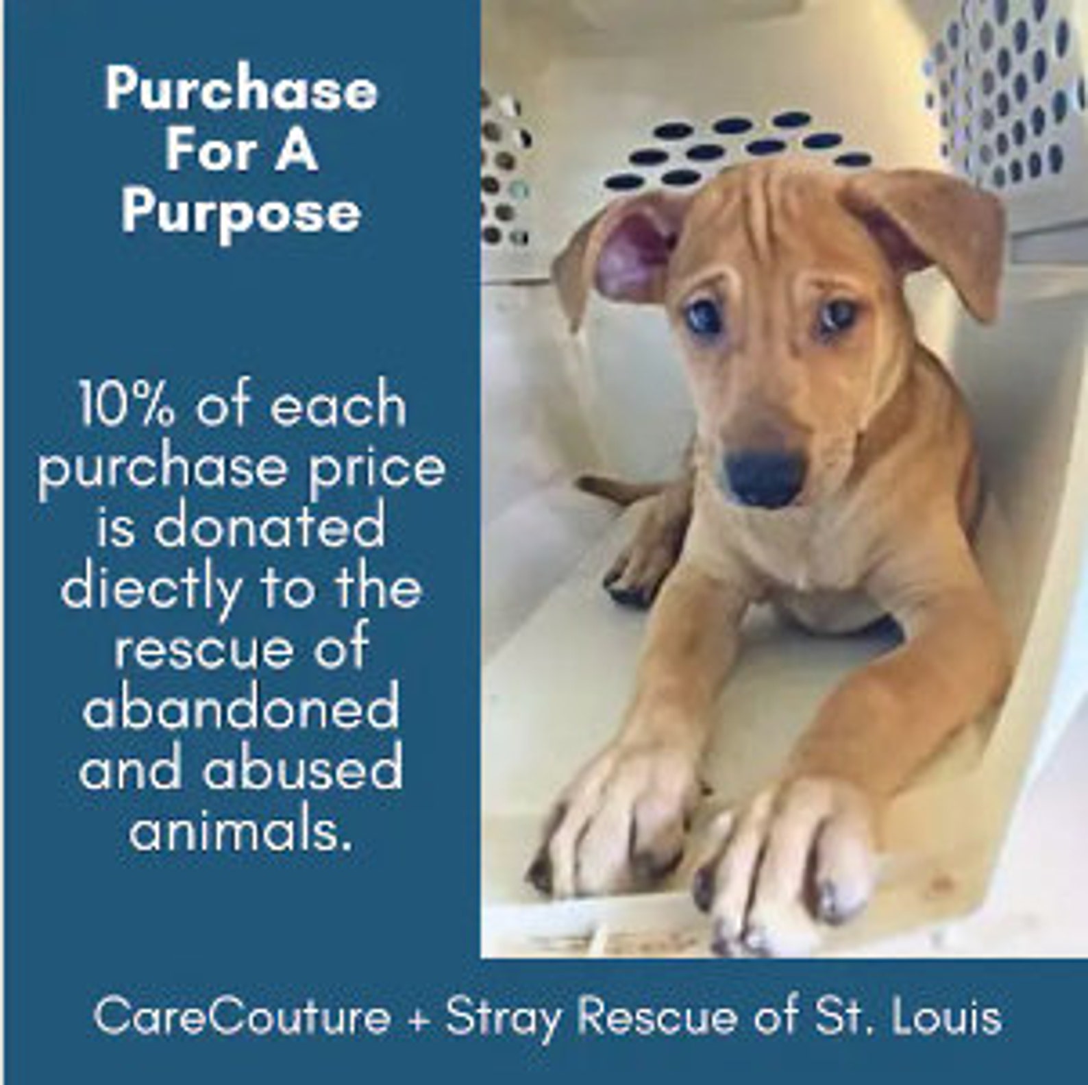 Printable Pet Adoption Form Animal Adoption Printable Download Pet ...