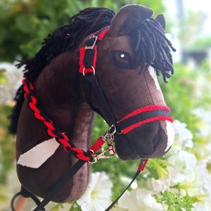 Hobby horse bay a4 - blanket-halter l-reins-lead rope