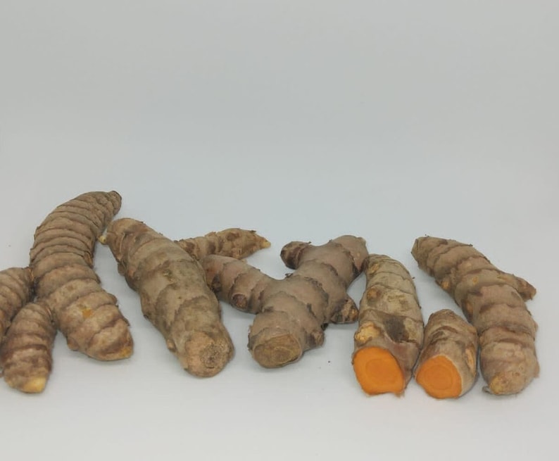 K&ouml;nnte beinhalten: Nahaufnahme von mehreren Kurkumawurzelst&uuml;cken, einige mit Schale und andere aufgeschnitten, um das leuchtend orangefarbene Fruchtfleisch zu zeigen. Die Wurzeln sind auf einem wei&szlig;en Hintergrund angeordnet.