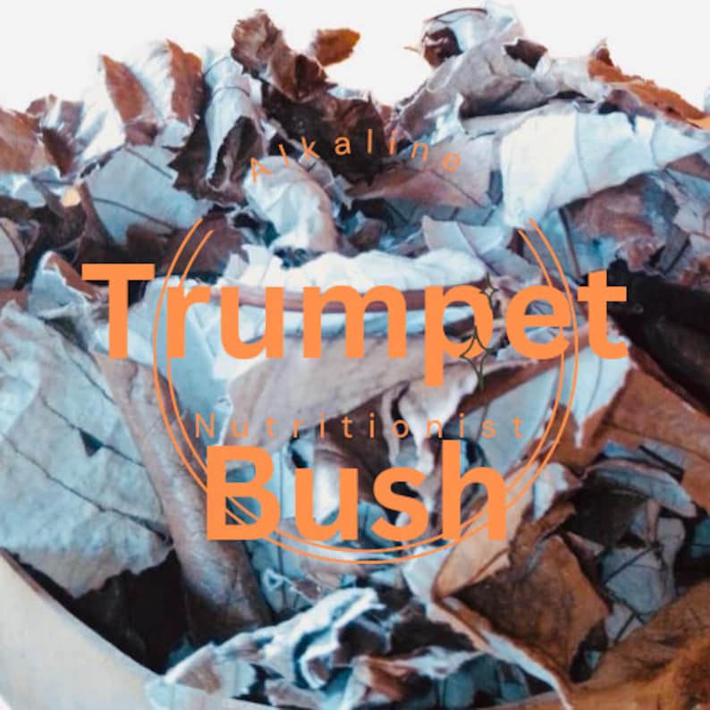 Organic Trumpet Leaf Premium Quality Dried Cecropia Peltata Leaves for Herbal Tea and Crafting