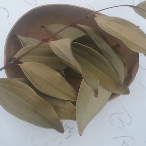 Puede incluir: Una colección de hojas de laurel secas en un cuenco marrón. Las hojas están dispuestas en forma de abanico y son de color marrón claro.