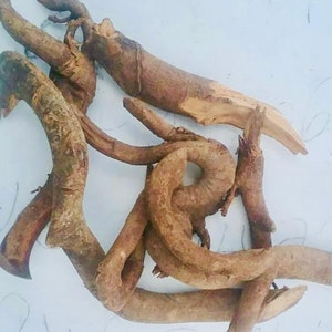 May include: A collection of brown, dried, twisted roots. The roots are gnarled and have a rough texture.