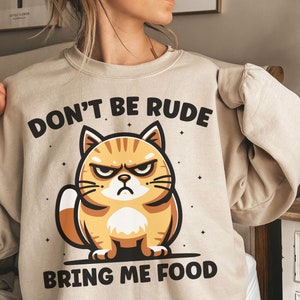 May include: Beige sweatshirt with a cartoon orange cat and the text "Don't be rude bring me food".