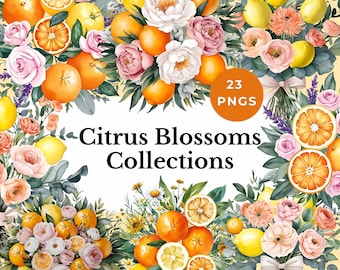 floral and citrus clipart orange flowers lemon PNG watercolor summer fruit blossom graphics botanical bouquet illustrations retro wedding