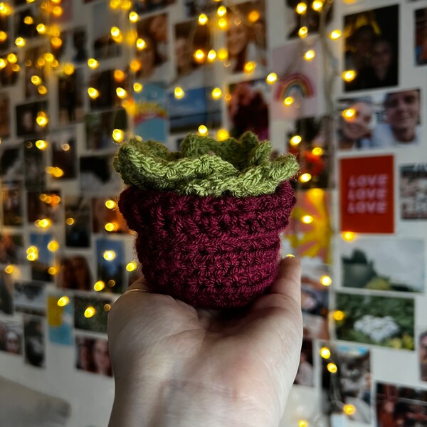 Succulent Crochet Coaster Plant Decoration Home Accessories Etsy Canada