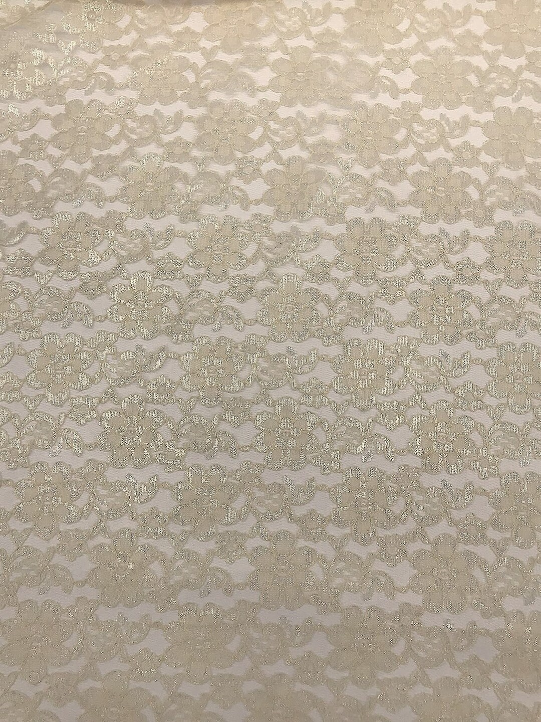 Ivory Beaded Raschel Lace Delia