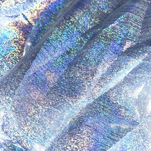 Silver Hologram Dust 60