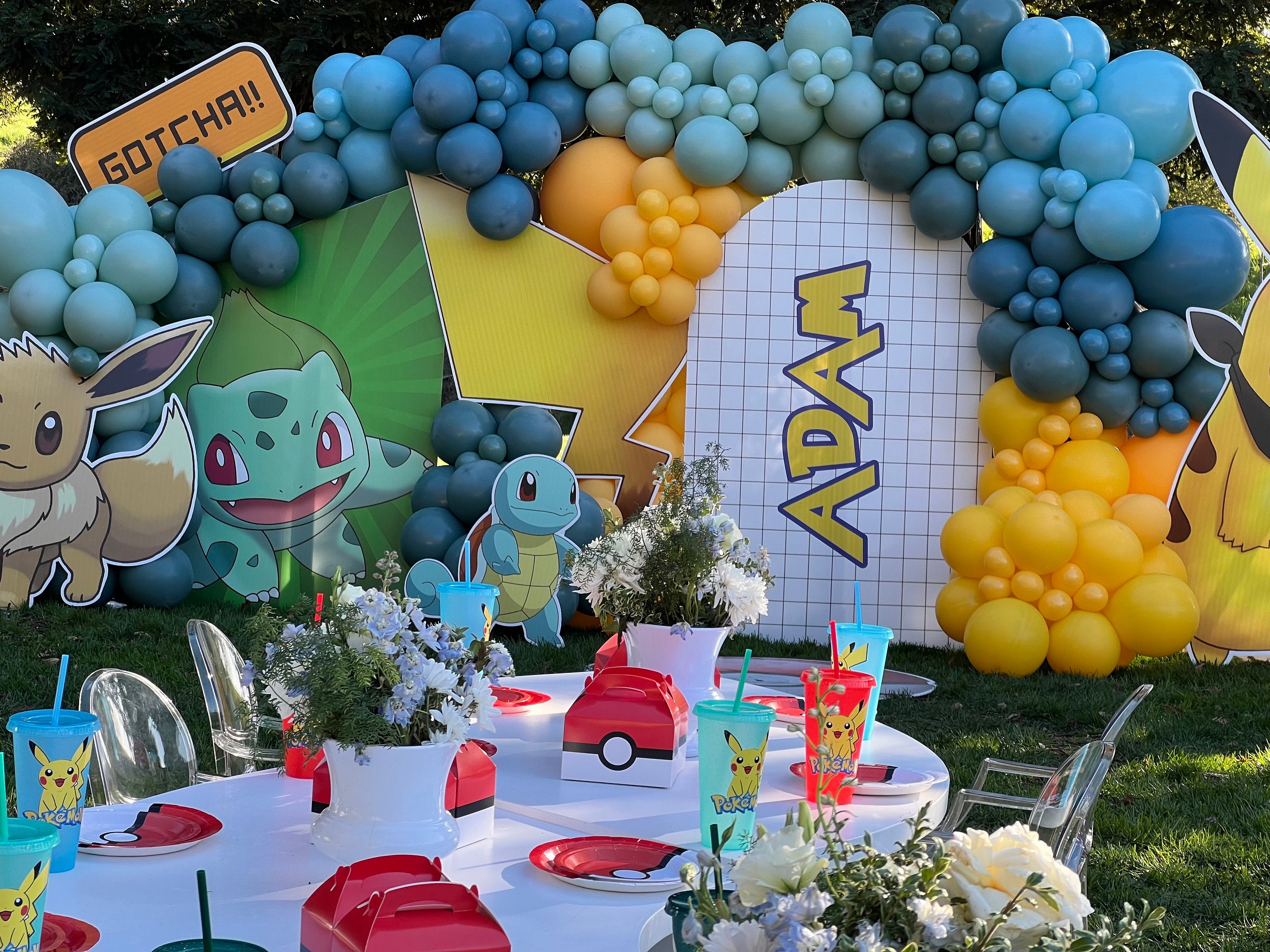 Children Party Decoration Pokemon