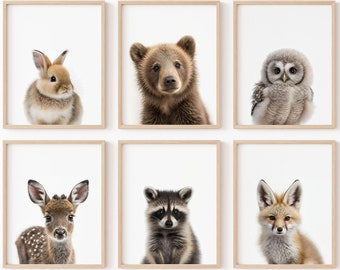Cute Baby Animals, Set of 6 Woodland Creatures Prints, Outdoor Nature Aesthetic, Little Forest Critters, Rustic Decor, PRINTABLE WALL ART