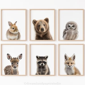 Niedliche Babytiere, Set mit 6 Waldkreaturen, Naturästhetik im Freien, kleine Waldtiere, rustikales Dekor, DRUCKBARE WANDKUNST