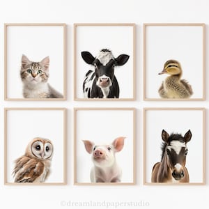 Farm Animals, Set of 6 Country Barn Animal Prints, Cute Baby Animals, Cow Horse Duck Kitten Barn Owl Pig, Rustic Decor,  PRINTABLE WALL ART