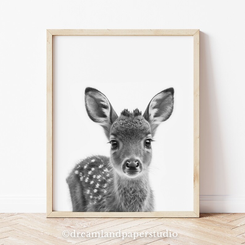 Cute Baby Animals Black and White, Set of 6 Woodland Creatures Prints