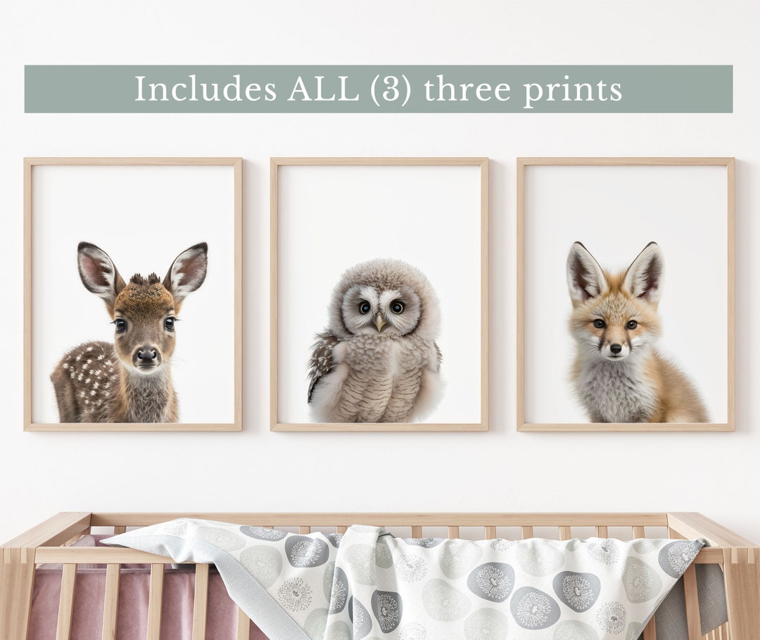 Baby Woodland Animal Prints Set, Nursery Decor, Neutral Color Wall Art ...
