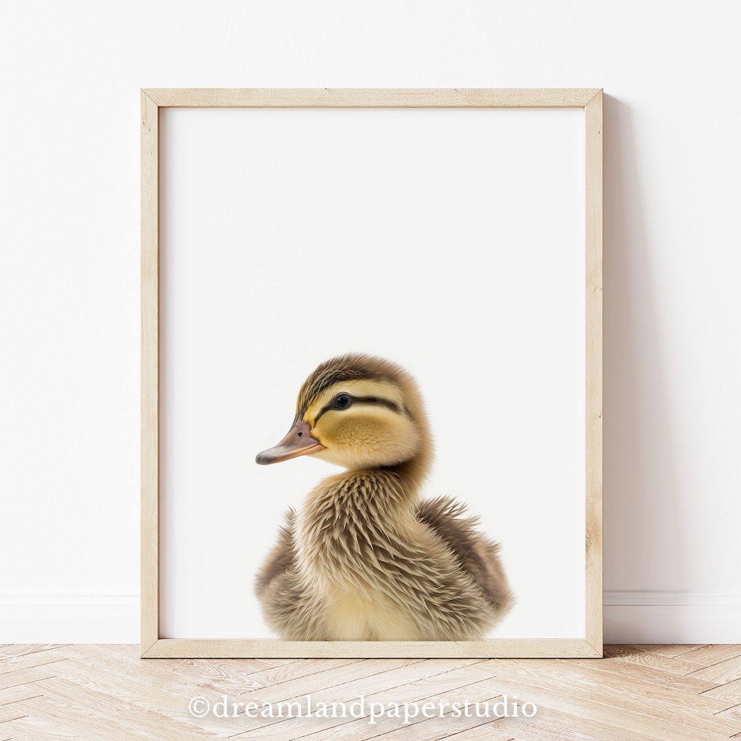 Baby Duck Nursery Decor, Neutral Color Wall Art, VISUAL DEVELOPMENT