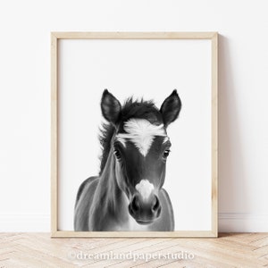 Black and White Baby Horse Print: Neutral Nursery Decor (Digital Download)