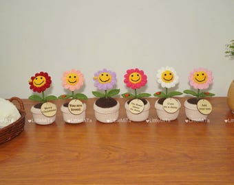 Handmade Crochet Smiley Flower Pot | Cute Desk Decor| Cute Desk Ornament | Cheerful Gift for Her| Crochet Smiley Flower Pot
