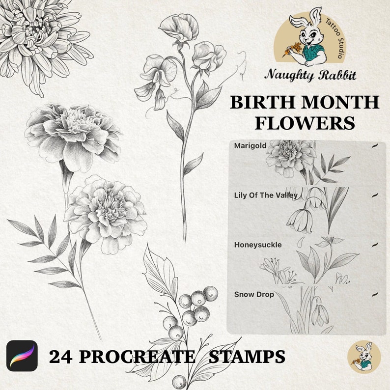 Birth Month Flowers Procreate Brush Set/ Handdrawn Pencil Sketches ...