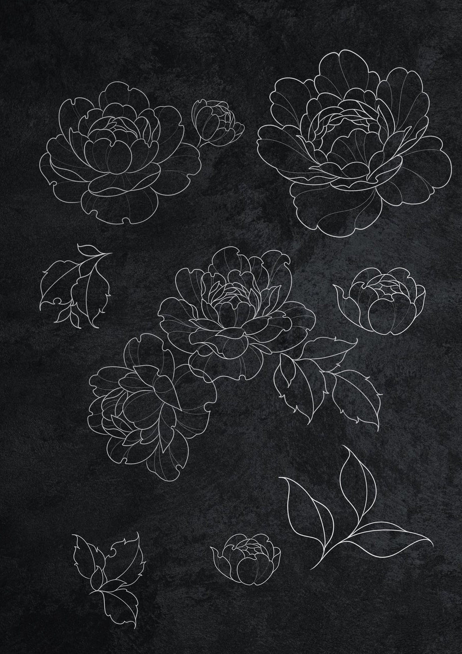 Peony Procreate Brush Set/unique Tattoo Stamp Brushes/digital Art ...