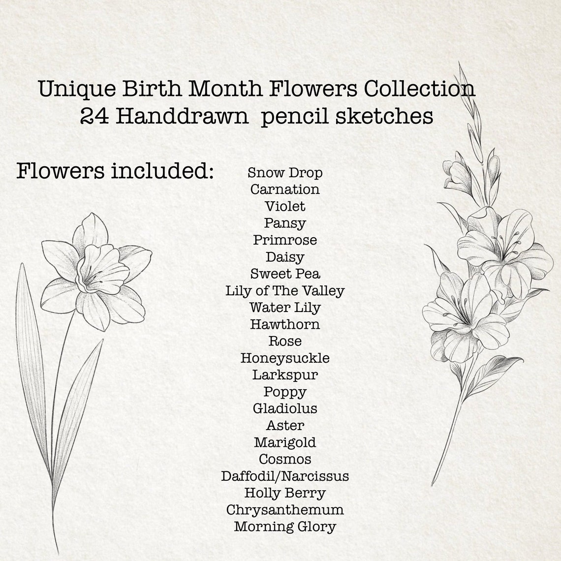 Birth Month Flowers Procreate Brush Set/ Handdrawn Pencil Sketches ...