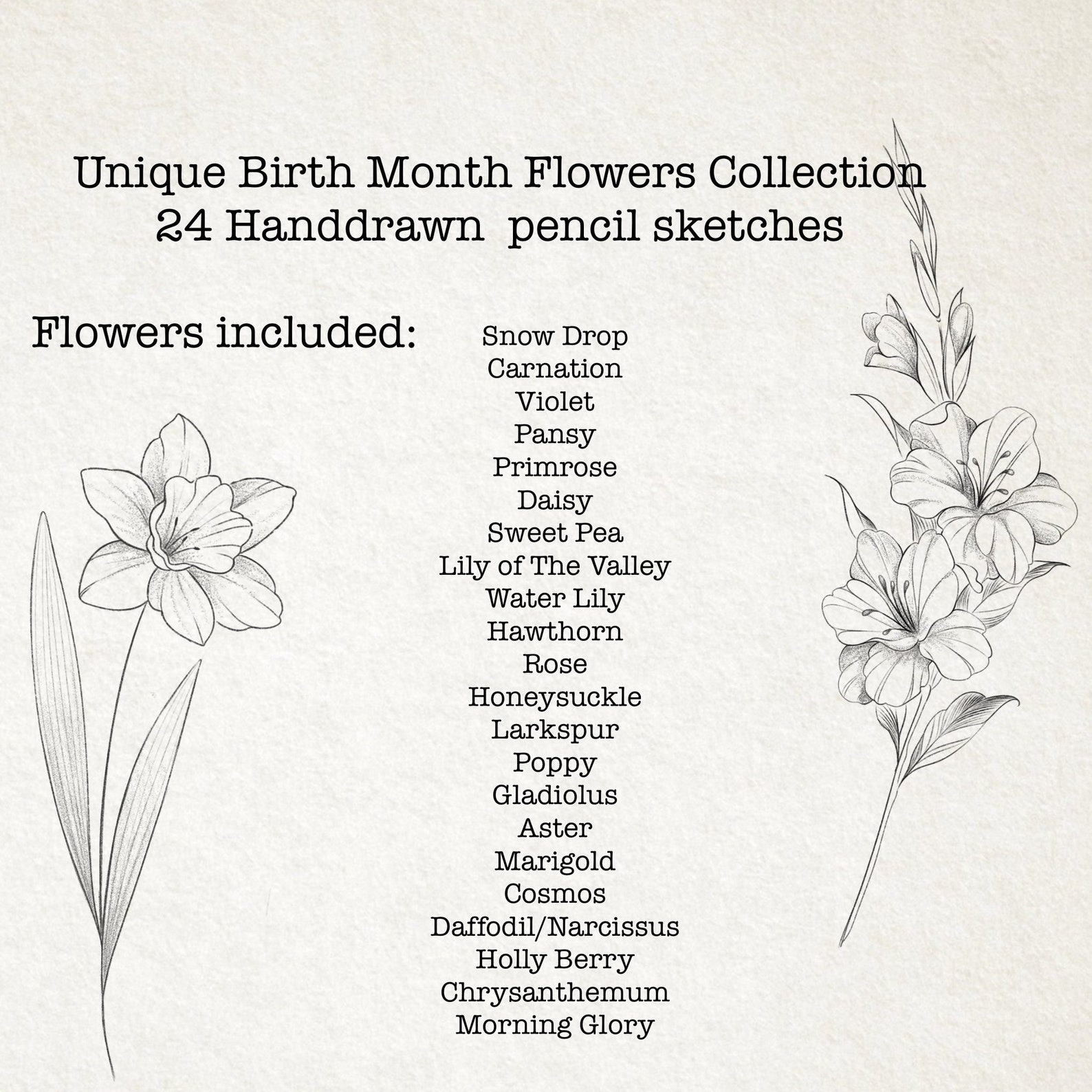 Birth Month Flowers Procreate Brush Set/ Handdrawn Pencil Sketches ...