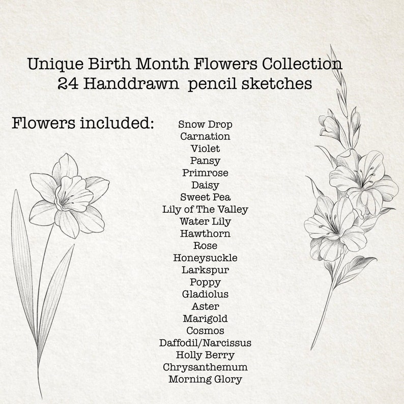 Birth Month Flowers Procreate Brush Set/ Handdrawn Pencil Sketches ...