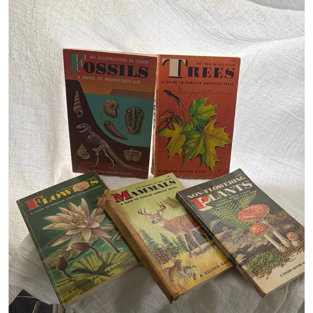 Old Nature Guide Vintage Golden Nature Guides Book Lot of 5 Early Printing, - Etsy