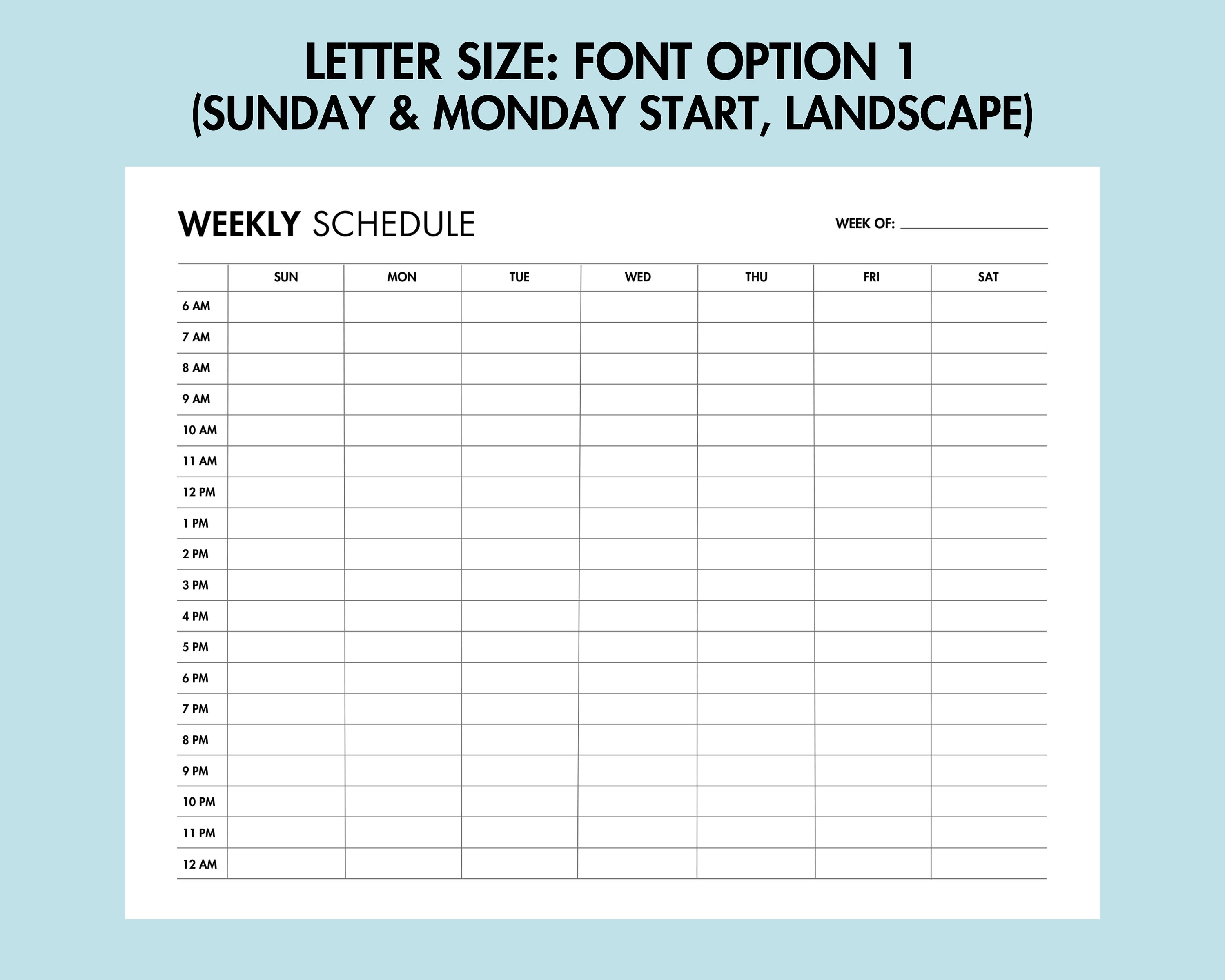 Weekly Hourly Schedule Printable Weekly Organizer PDF Weekly Planner