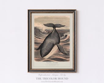 Leviathan Ascending - Whale Giclée Print