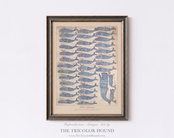 Antique Whale Print: 19th Century Whaling Ship Art