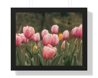 Rosa tulpanfältposter, blommig väggkonst, botaniskt tryck