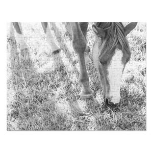 Horse Jigsaw Puzzle (30, 110, 252, 500,1000-Piece) | Horse Lover Gift | Animal Puzzle